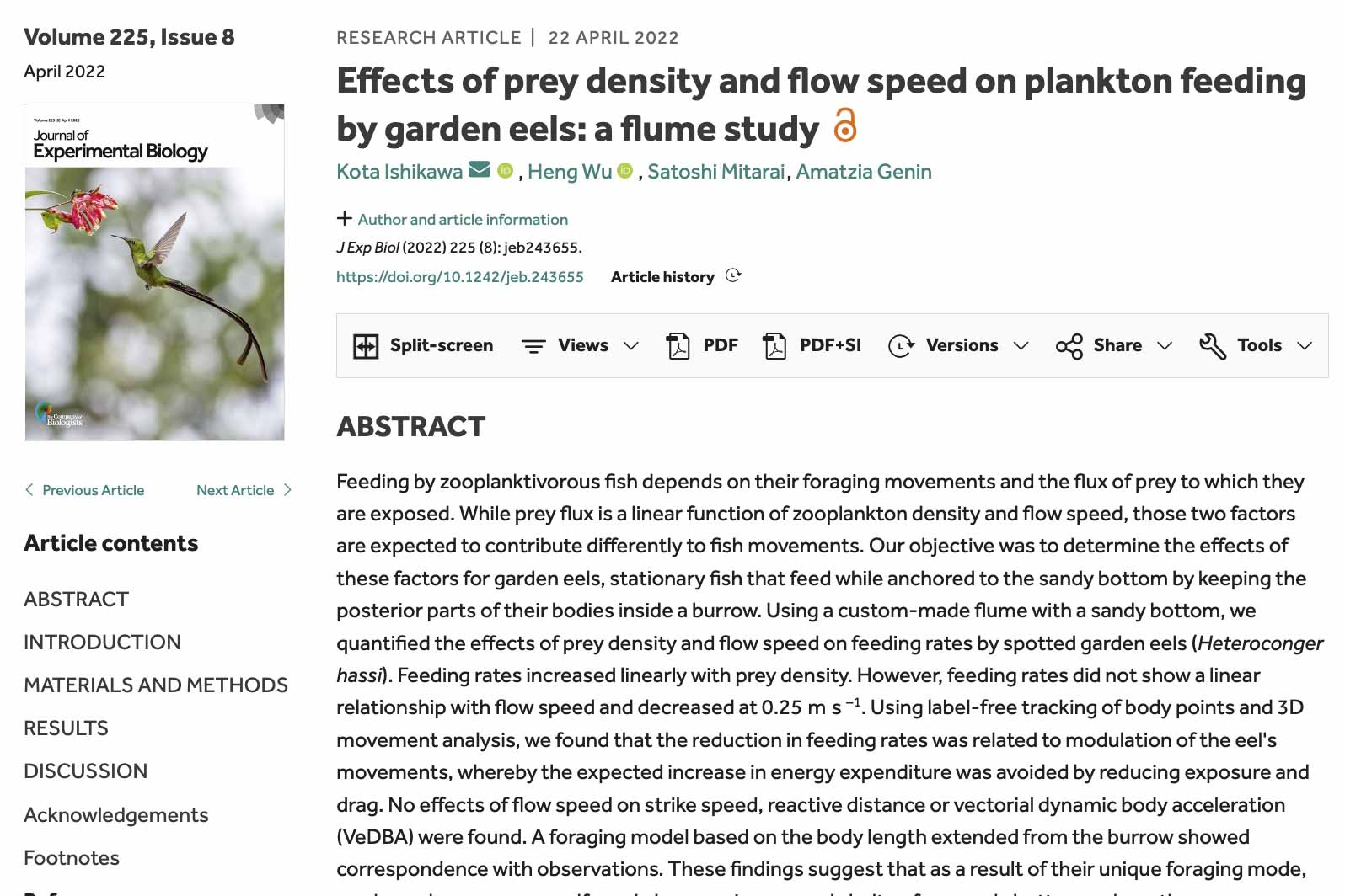 effects of prey density and flow speed on plankton feeding by garden eels: a flume study